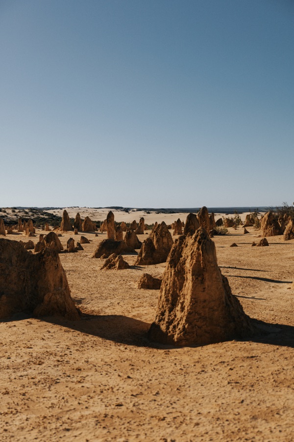 Limestone pinnacles rising from ochre sand beneath a clear sky