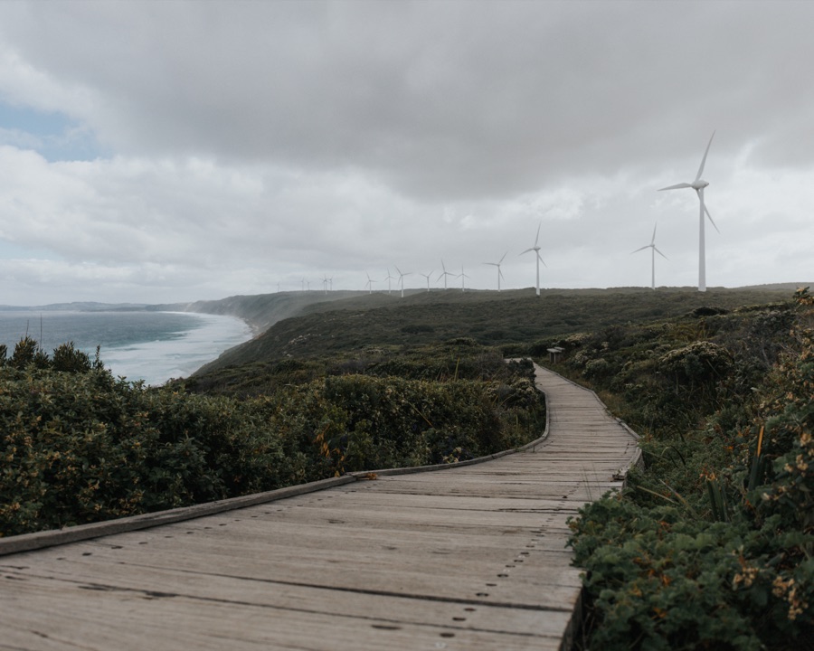 Boardwalk winding through coastal scrub towards wind turbines under grey skies