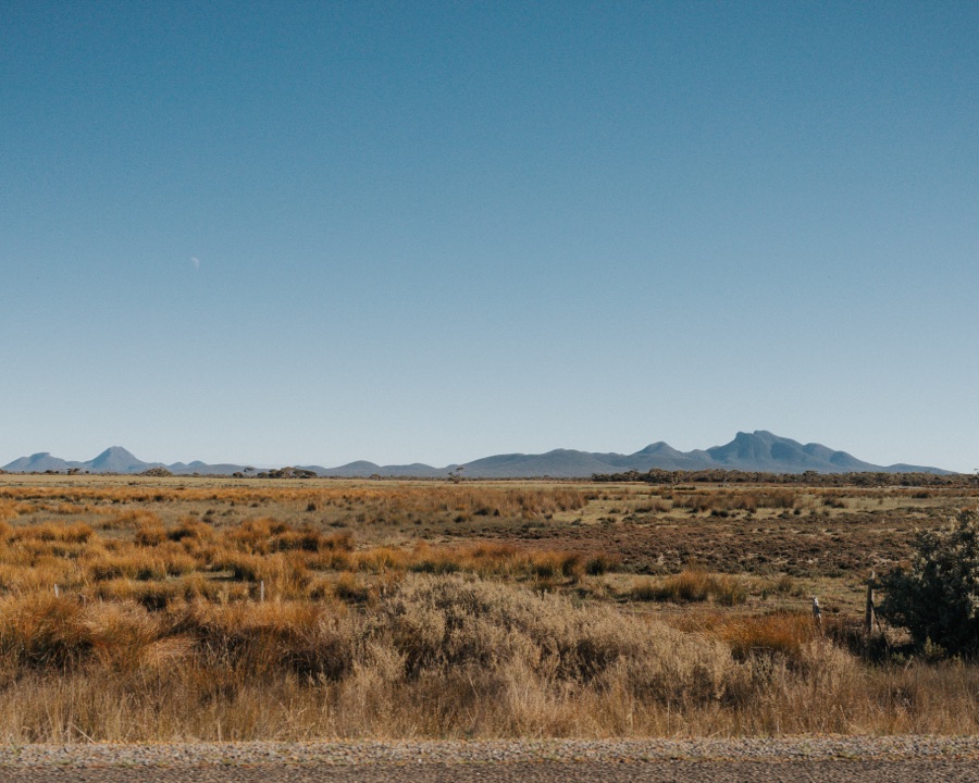 Golden grassland with the Stirling Ranges on the horizon